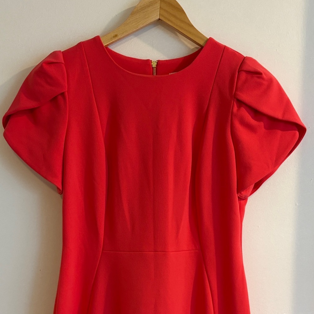 Calvin Klein Reddish Pinkish Midi Dress with Puff Sleeves - Picture 2 of 11